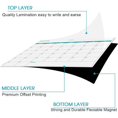 Magnetic Fridge Calendar dry erase surface monthly planner designed for refrigerator with stain resistant coating and easy wipe clean